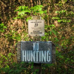Photo #34 of HARTS MILL RD, MINERAL, VA 25.0 acres
