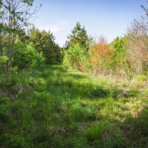 Photo #30 of HARTS MILL RD, MINERAL, VA 25.0 acres