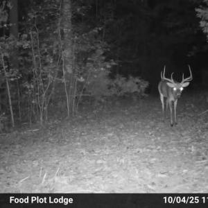 Photo #48 of HARTS MILL RD, MINERAL, VA 25.0 acres