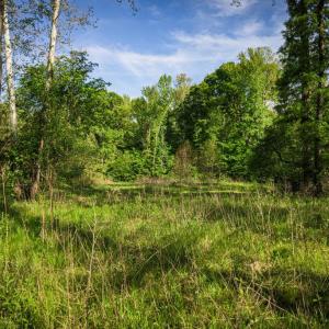 Photo #22 of HARTS MILL RD, MINERAL, VA 25.0 acres