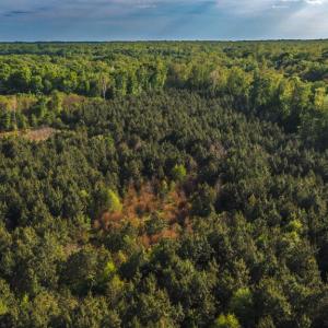 Photo #38 of HARTS MILL RD, MINERAL, VA 25.0 acres