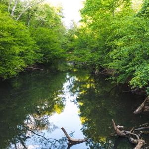 Photo #15 of HARTS MILL RD, MINERAL, VA 25.0 acres