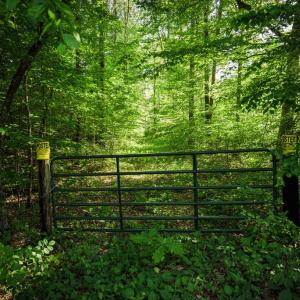 Photo #26 of HARTS MILL RD, MINERAL, VA 25.0 acres