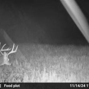 Photo #50 of HARTS MILL RD, MINERAL, VA 25.0 acres