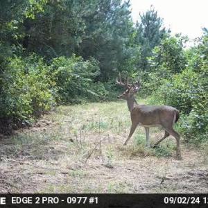 Photo #45 of HARTS MILL RD, MINERAL, VA 25.0 acres
