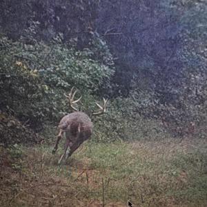 Photo #47 of HARTS MILL RD, MINERAL, VA 25.0 acres
