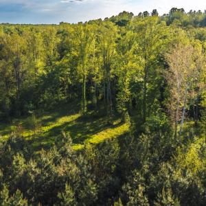 Photo #4 of HARTS MILL RD, MINERAL, VA 25.0 acres