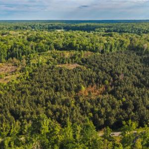 Photo #41 of HARTS MILL RD, MINERAL, VA 25.0 acres