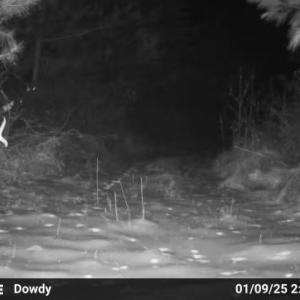 Photo #52 of HARTS MILL RD, MINERAL, VA 25.0 acres