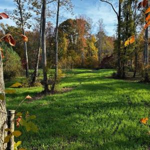 Photo #59 of HARTS MILL RD, MINERAL, VA 25.0 acres