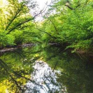 Photo #8 of HARTS MILL RD, MINERAL, VA 25.0 acres