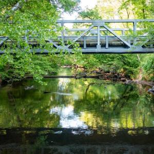 Photo #10 of HARTS MILL RD, MINERAL, VA 25.0 acres