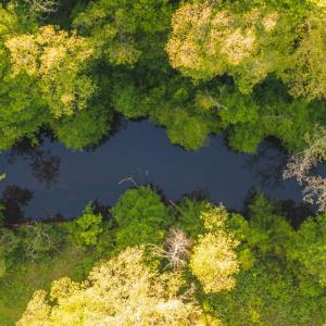 Photo #2 of HARTS MILL RD, MINERAL, VA 25.0 acres