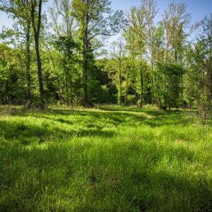 Photo #21 of HARTS MILL RD, MINERAL, VA 25.0 acres