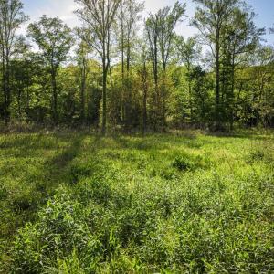 Photo #23 of HARTS MILL RD, MINERAL, VA 25.0 acres