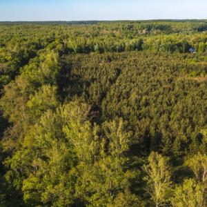 Photo #5 of HARTS MILL RD, MINERAL, VA 25.0 acres