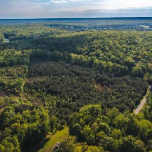 Photo #40 of HARTS MILL RD, MINERAL, VA 25.0 acres