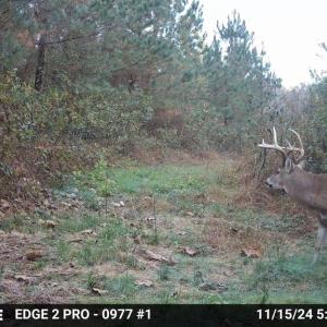 Photo #46 of HARTS MILL RD, MINERAL, VA 25.0 acres