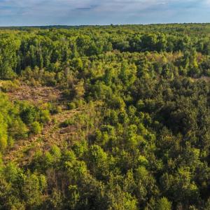 Photo #37 of HARTS MILL RD, MINERAL, VA 25.0 acres