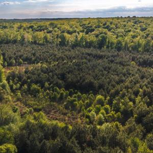 Photo #39 of HARTS MILL RD, MINERAL, VA 25.0 acres