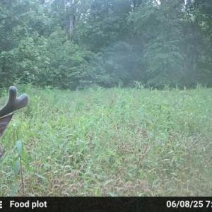 Photo #54 of HARTS MILL RD, MINERAL, VA 25.0 acres