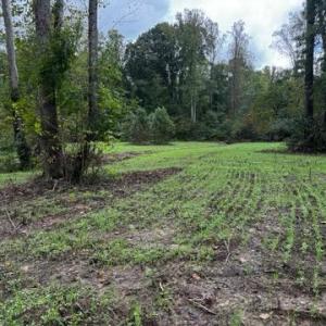 Photo #63 of HARTS MILL RD, MINERAL, VA 25.0 acres