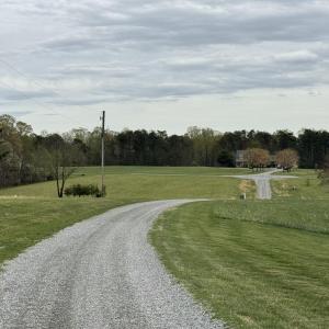 Neighborhood
