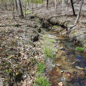 Stream