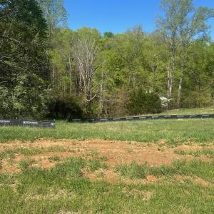 76590537635__FD26E888-06D1-4CA4-9CEC-8FA