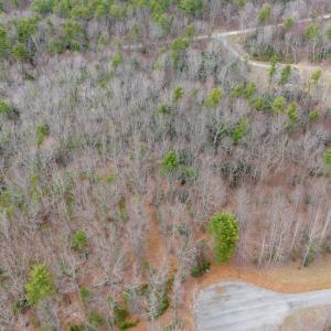 DJI_20250330153922_0009_D