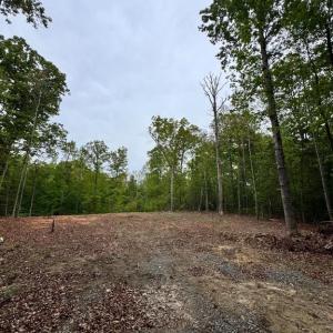 Photo #3 of 465 EQUESTRIAN LANDING TRL, BUMPASS, VA 5.1 acres