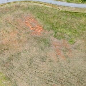 19-DJI_20250414143255_0088