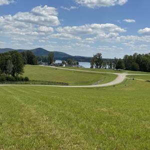 IMG_8810
