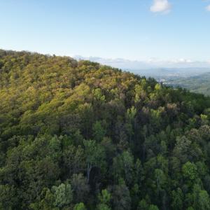 DJI_0720