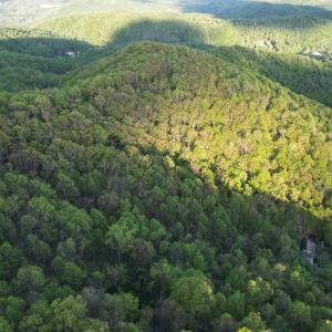 DJI_0723