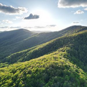 DJI_0731