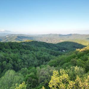 DJI_0737