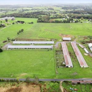 Photo #6 of PHOEBE LN, LURAY, VA 45.8 acres