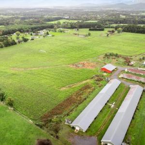 Photo #5 of PHOEBE LN, LURAY, VA 45.8 acres