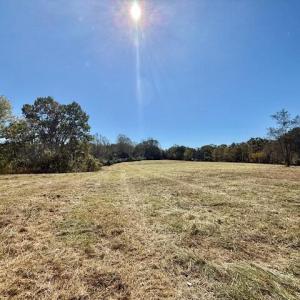 Property lays Beautiful