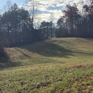 Photo #4 of 729 CELT RD, STANARDSVILLE, VA 7.0 acres