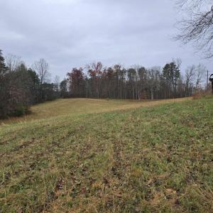 Photo #5 of 729 CELT RD, STANARDSVILLE, VA 7.0 acres
