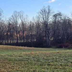 Photo #7 of 729 CELT RD, STANARDSVILLE, VA 7.0 acres