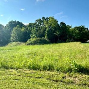 20240524005515743048000000-o