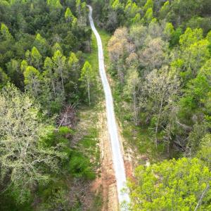 DJI_0580