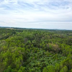 DJI_0587