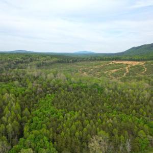 DJI_0588