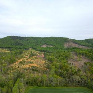 DJI_0593