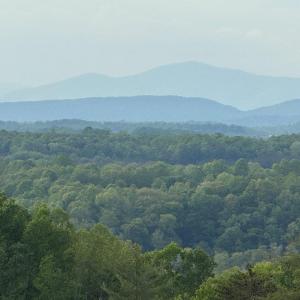 IMG_5292