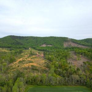 DJI_0593